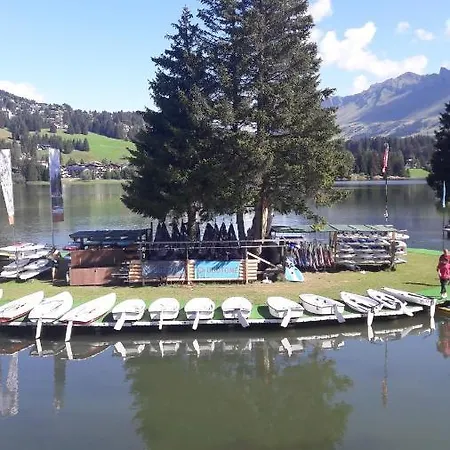 Ferien In Der Region Lenzerheide Apartment Lenz