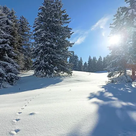 Ferien In Der Region Lenzerheide Διαμέρισμα Lenz